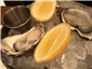oysters